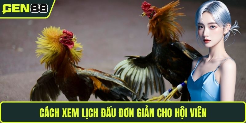 Cách xem lịch đấu đơn giản cho hội viên