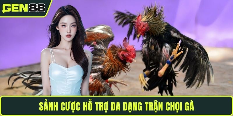 Sảnh cược hỗ trợ đa dạng trận chọi gà
