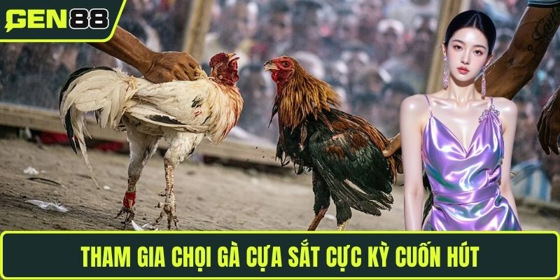 Tham gia chọi gà cựa sắt cực kỳ cuốn hút