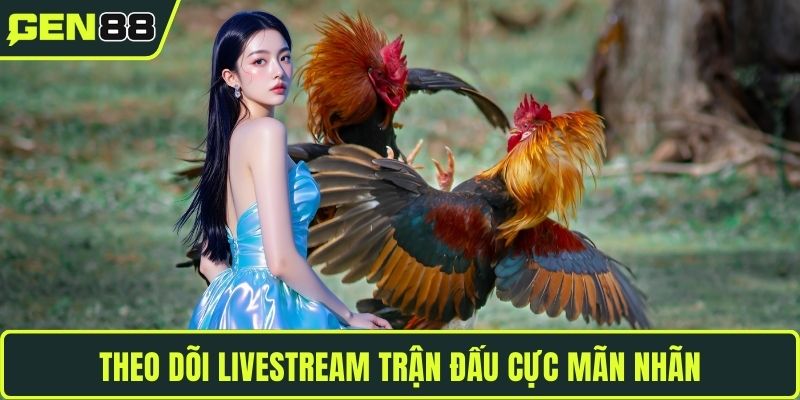 Theo dõi livestream trận đấu cực mãn nhãn