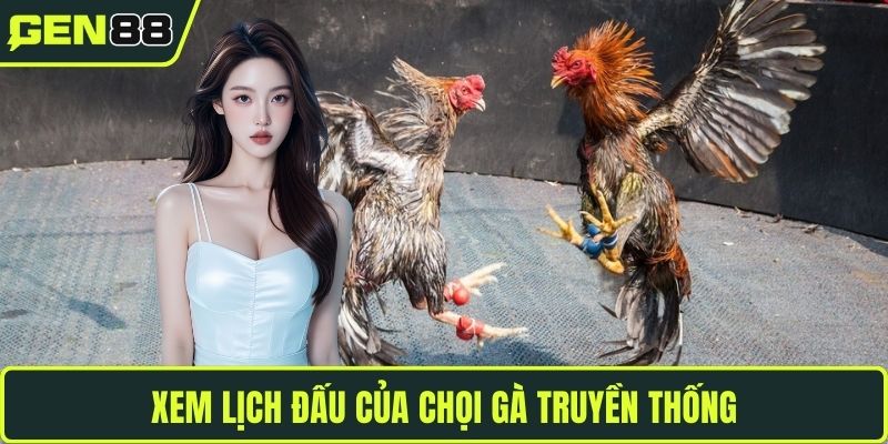 Xem lịch đấu của chọi gà truyền thống